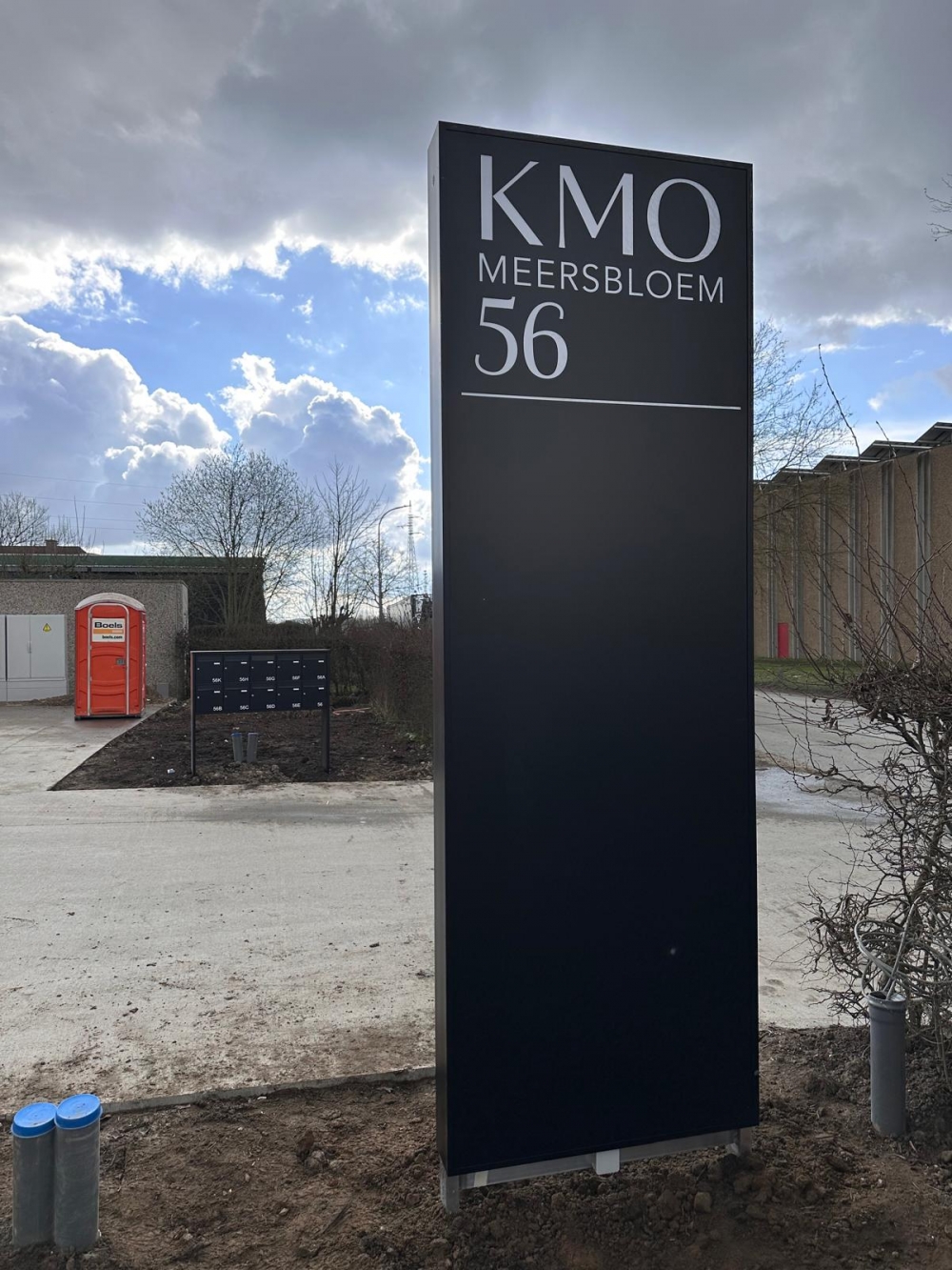 kmo meersbloem 1